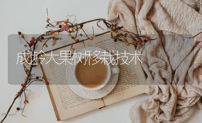 成龄大果树移栽技术 | 瓜果种植