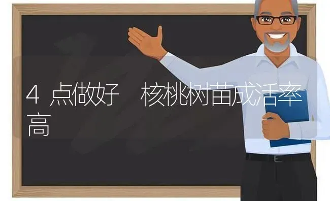 4点做好 核桃树苗成活率高 | 瓜果种植