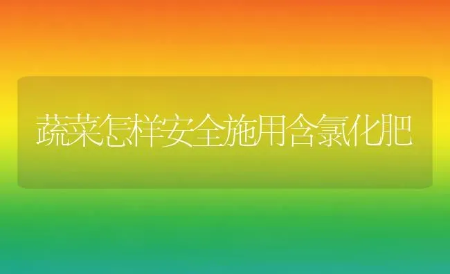 蔬菜怎样安全施用含氯化肥 | 蔬菜种植