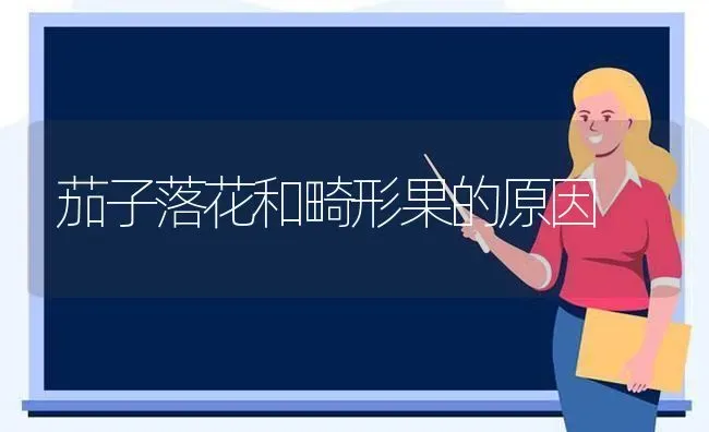 茄子落花和畸形果的原因 | 瓜果种植