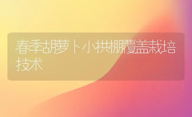 春季胡萝卜小拱棚覆盖栽培技术 | 蔬菜种植