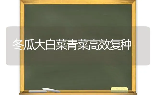 冬瓜大白菜青菜高效复种 | 蔬菜种植