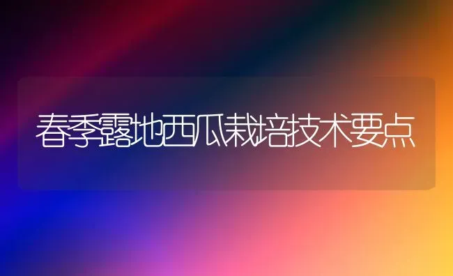 春季露地西瓜栽培技术要点 | 瓜果种植