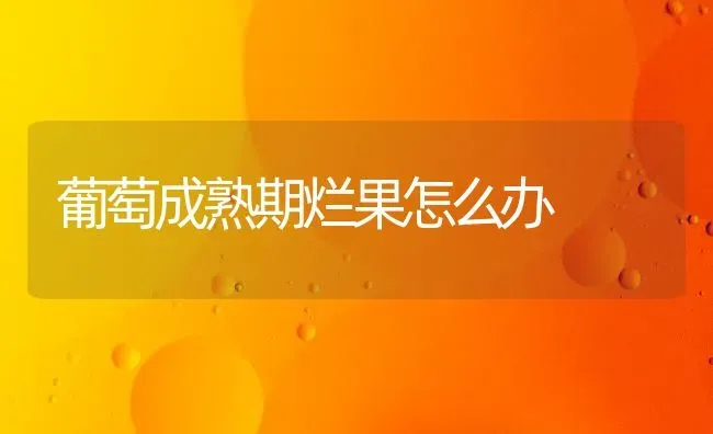 葡萄成熟期烂果怎么办 | 瓜果种植