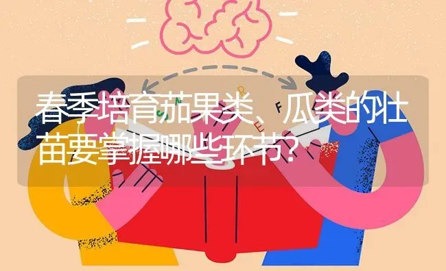 春季培育茄果类、瓜类的壮苗要掌握哪些环节？ | 瓜果种植