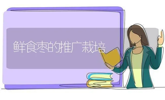 鲜食枣的推广栽培 | 瓜果种植