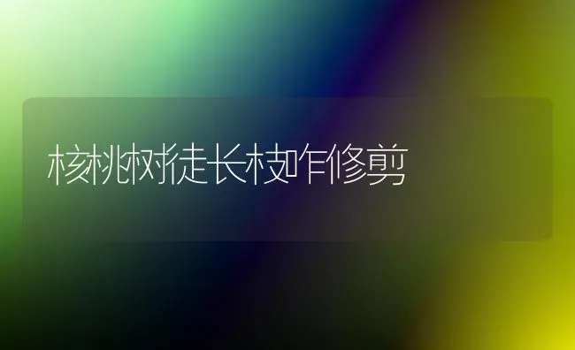 核桃树徒长枝咋修剪 | 瓜果种植