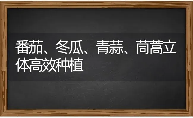 番茄、冬瓜、青蒜、茼蒿立体高效种植 | 植物种植百科