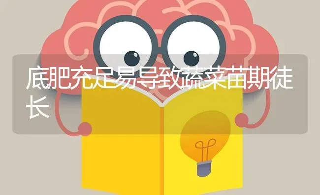 底肥充足易导致蔬菜苗期徒长 | 蔬菜种植