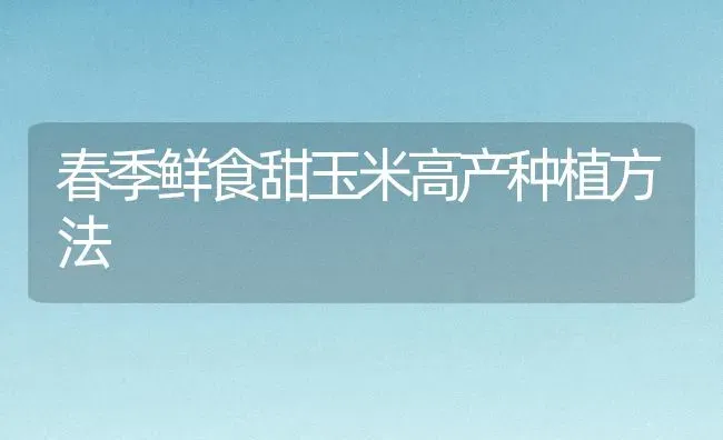 春季鲜食甜玉米高产种植方法 | 植物种植百科