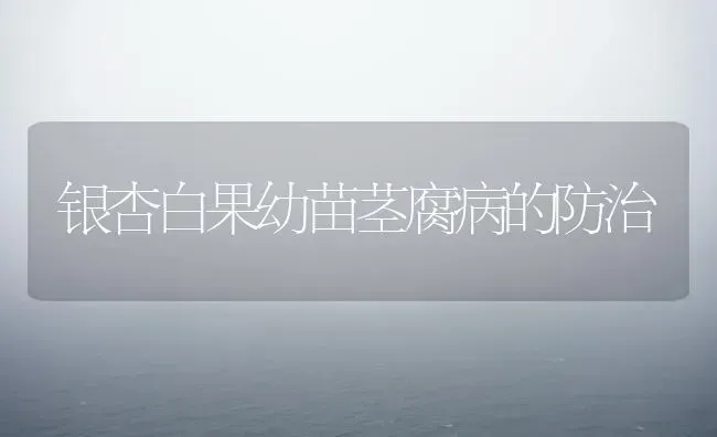 银杏白果幼苗茎腐病的防治 | 瓜果种植