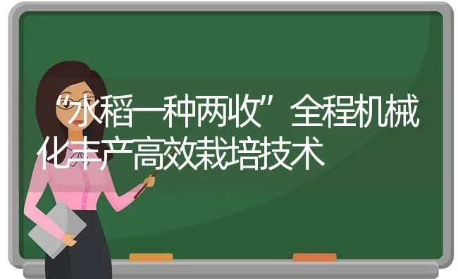 “水稻一种两收”全程机械化丰产高效栽培技术 | 粮油作物种植