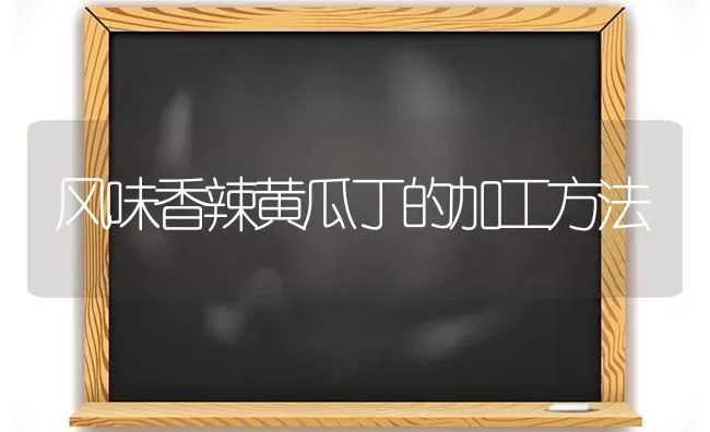 风味香辣黄瓜丁的加工方法 | 蔬菜种植