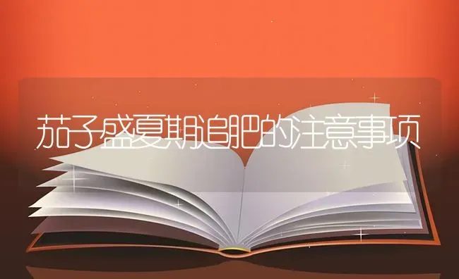 茄子盛夏期追肥的注意事项 | 蔬菜种植