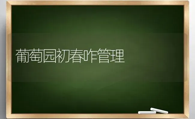 葡萄园初春咋管理 | 瓜果种植