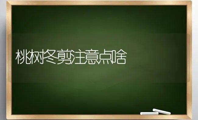 桃树冬剪注意点啥 | 瓜果种植