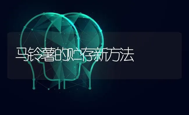 马铃薯的贮存新方法 | 粮油作物种植