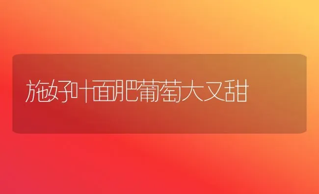 施好叶面肥葡萄大又甜 | 瓜果种植