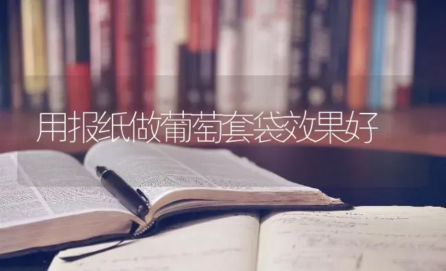 用报纸做葡萄套袋效果好 | 瓜果种植