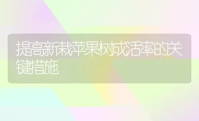 提高新栽苹果树成活率的关键措施 | 瓜果种植