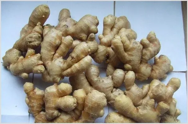小黄姜种植时间和周期注意事项 | 种植技术