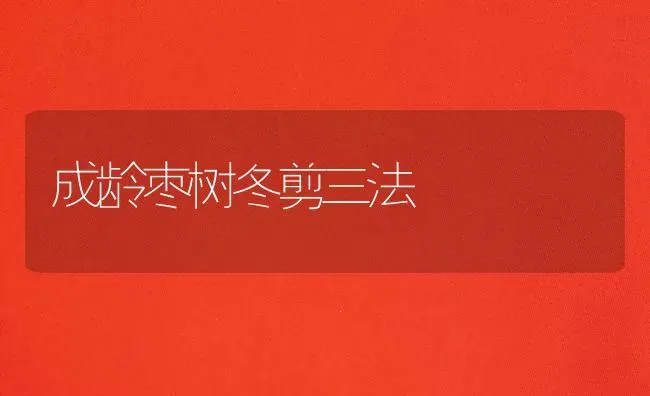 成龄枣树冬剪三法 | 瓜果种植