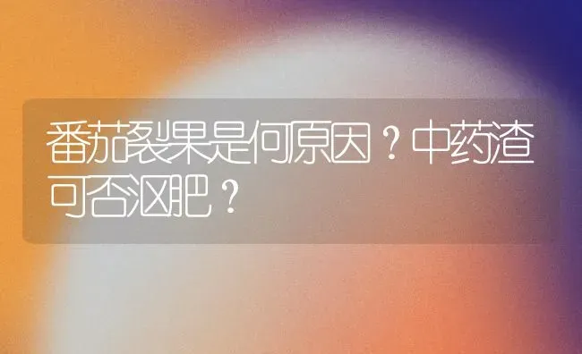 番茄裂果是何原因？中药渣可否沤肥？ | 瓜果种植