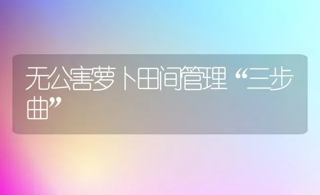无公害萝卜田间管理“三步曲” | 蔬菜种植