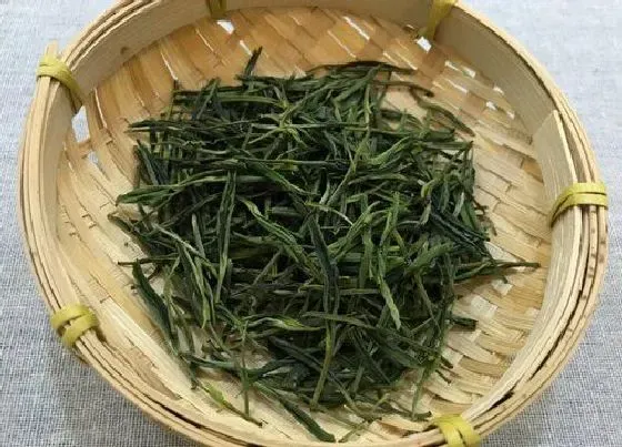 植物泡水|中国最贵的茶叶排名价格表（目前最好的茶叶排名品牌第一）