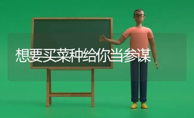 想要买菜种给你当参谋 | 蔬菜种植