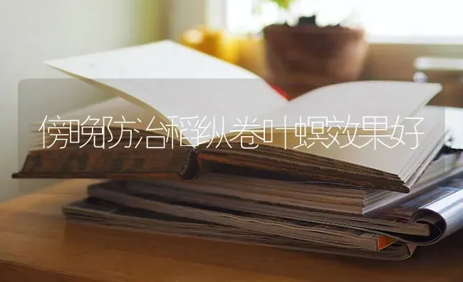 傍晚防治稻纵卷叶螟效果好 | 瓜果种植