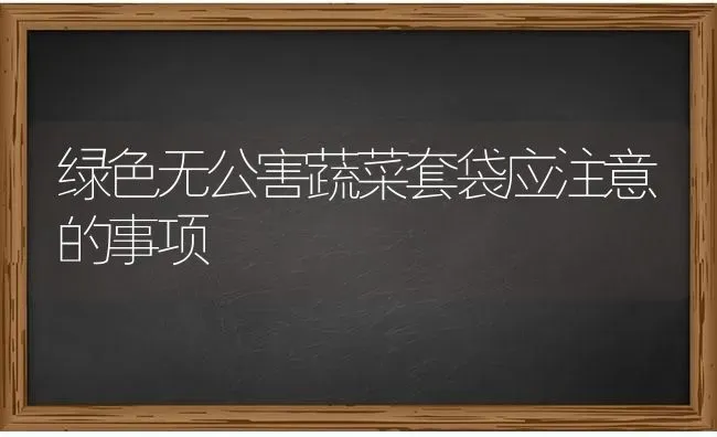 秋茬西红柿定植后要及时防治病毒病 | 蔬菜种植