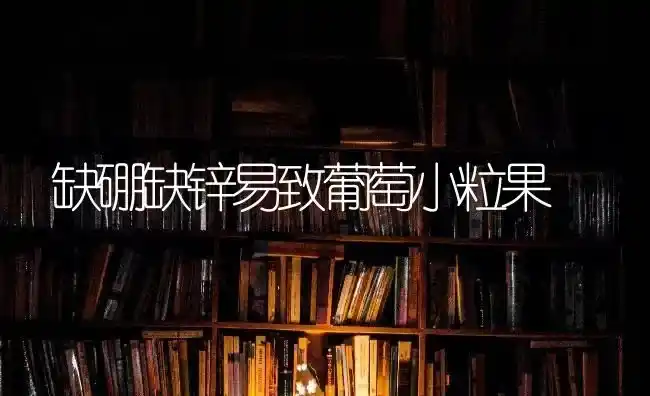 缺硼缺锌易致葡萄小粒果 | 瓜果种植