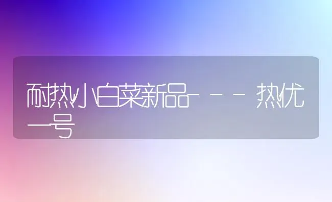 耐热小白菜新品---热优一号 | 蔬菜种植