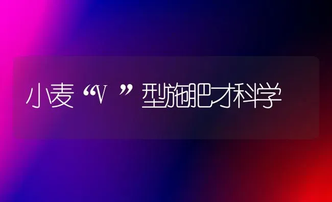 小麦“V”型施肥才科学 | 粮油作物种植