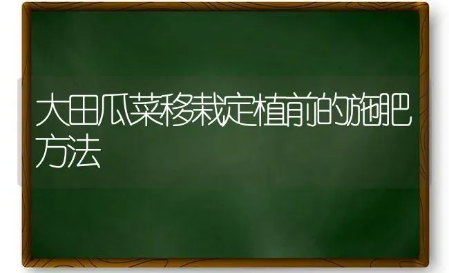 大田瓜菜移栽定植前的施肥方法 | 种植肥料施肥