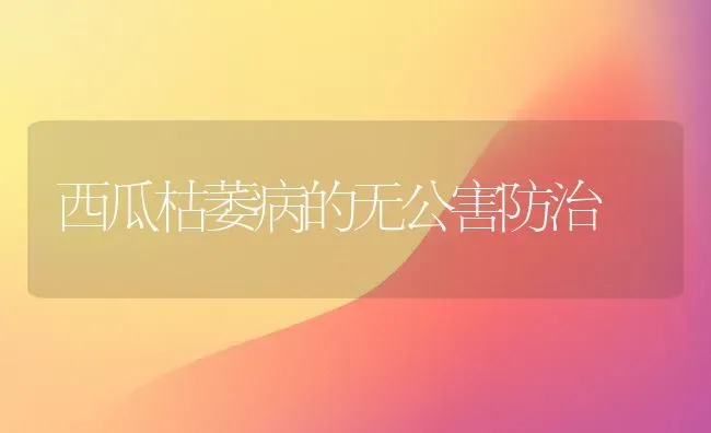 西瓜枯萎病的无公害防治 | 瓜果种植