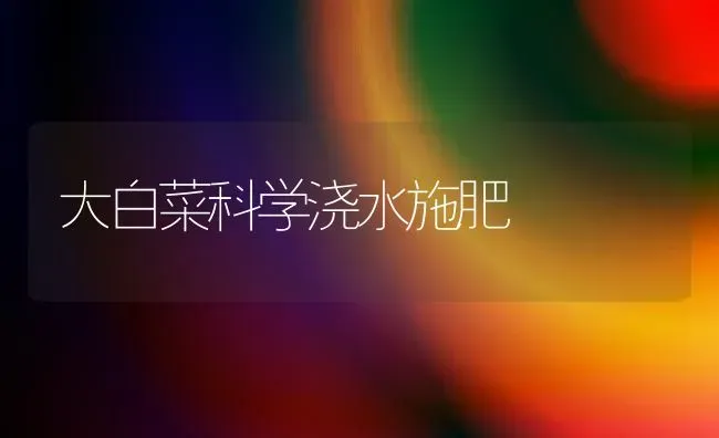 大白菜科学浇水施肥 | 种植肥料施肥