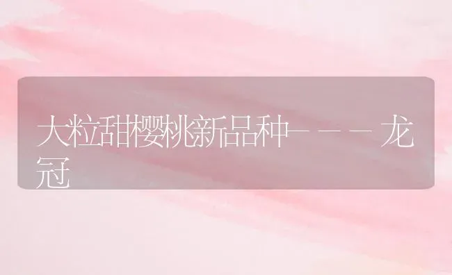 大粒甜樱桃新品种---龙冠 | 瓜果种植