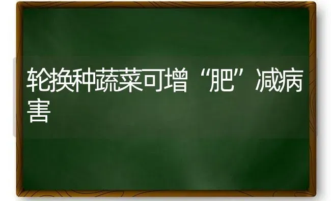 轮换种蔬菜可增“肥”减病害 | 蔬菜种植