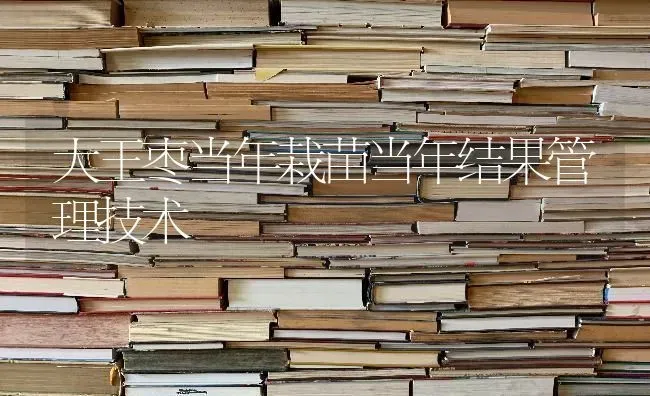 大王枣当年栽苗当年结果管理技术 | 瓜果种植