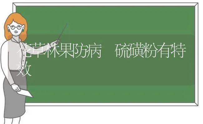 花草林果防病 硫磺粉有特效 | 瓜果种植