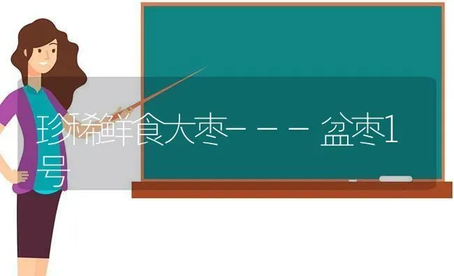 珍稀鲜食大枣---盆枣1号 | 瓜果种植