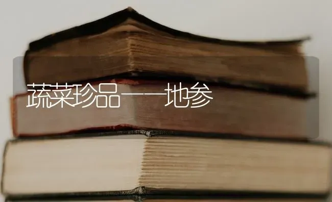 蔬菜珍品——地参 | 蔬菜种植