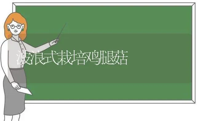 波浪式栽培鸡腿菇 | 食用菌种植