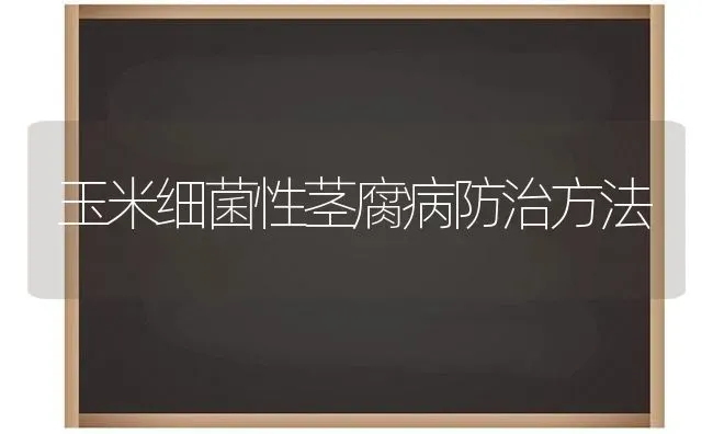 玉米细菌性茎腐病防治方法 | 粮油作物种植