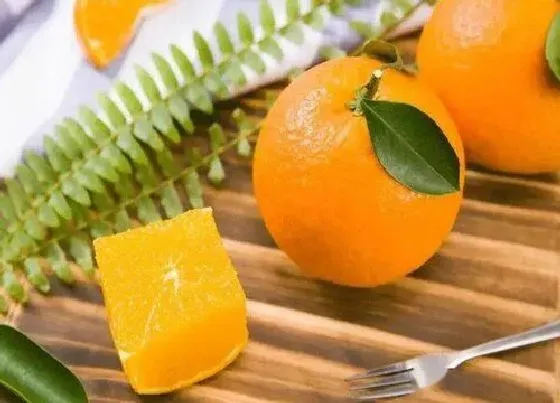 食用科普|果冻橙是热性还是凉性