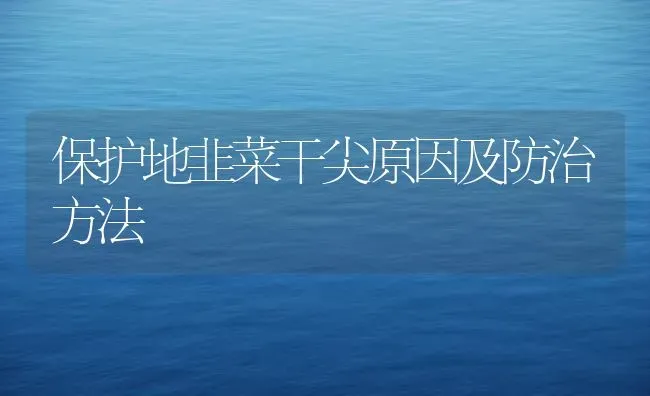 保护地韭菜干尖原因及防治方法 | 蔬菜种植