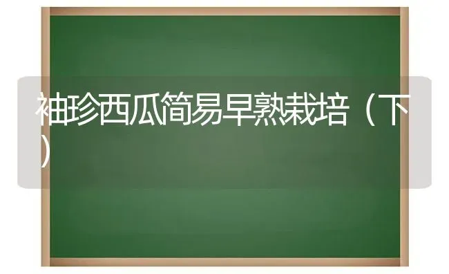 袖珍西瓜简易早熟栽培（下） | 瓜果种植