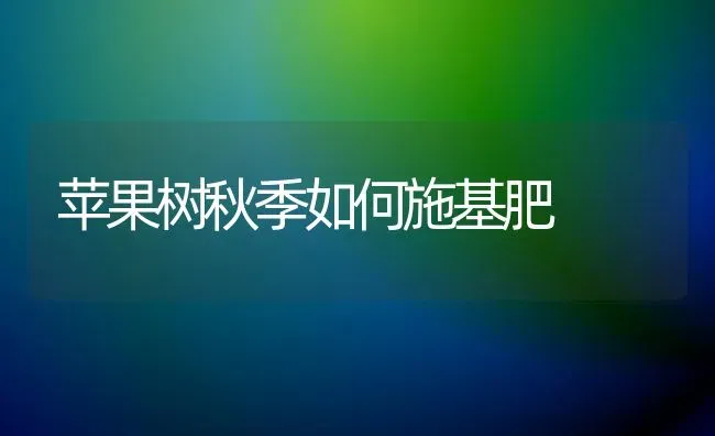 苹果树秋季如何施基肥 | 瓜果种植